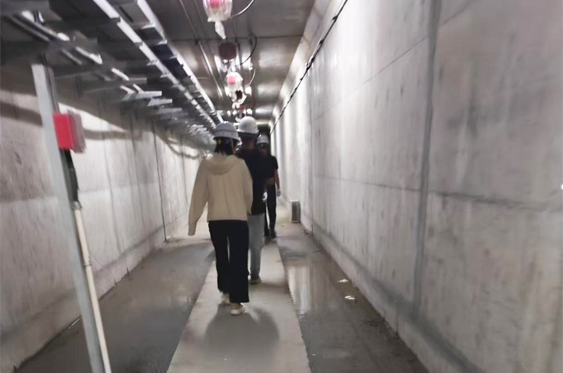 20260206004.jpg